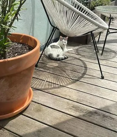 Lightful Architectural House