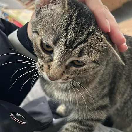 Prázdninový dům Lightful Architectural House