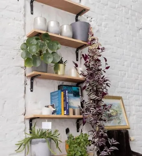 Lightful Architectural House