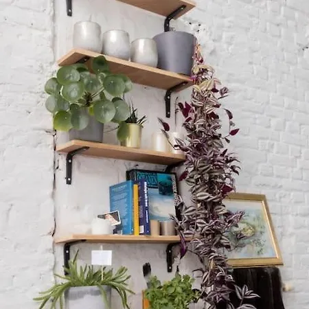 Lightful Architectural House