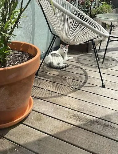 Lightful Architectural House