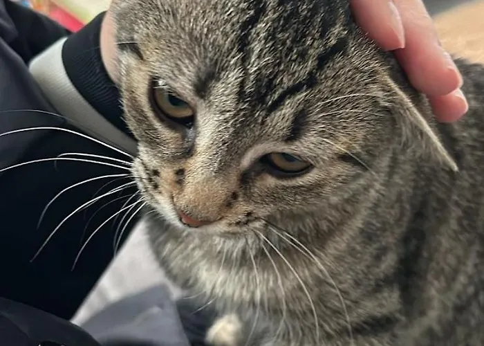 펜션 Lightful Architectural House